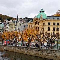 卡罗维发利头像