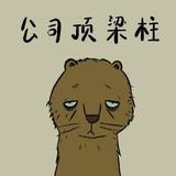 俊俏花猫oGw头像