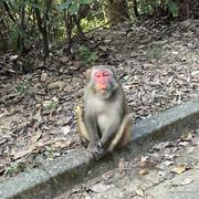 yddddddddddur的个人资料头像