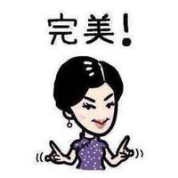 等待下一场雪头像