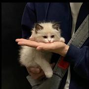 Mayinlu的个人资料头像