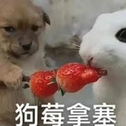 对方正在输入50的个人资料头像