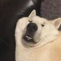 给点阳光401头像