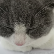 33号星球的个人资料头像