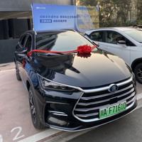 黑骏——黑唐头像