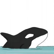 小仙则灵的个人资料头像