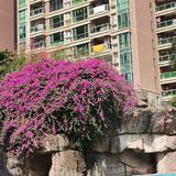瑾瑜609头像