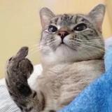 管不了一点头像