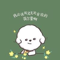 猫斯图头像