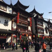 王立永381头像