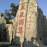 齐鲁在陇原头像