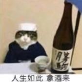 吹面扶风头像