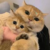 用户5922536375177头像