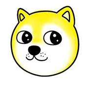 姚头的个人资料头像