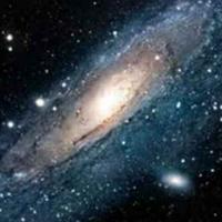 前车之鉴2018头像