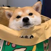 用户2561339471032的个人资料头像
