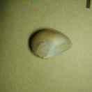 胡亚不想说话的个人资料头像