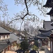 用户6241252111870的个人资料头像