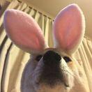 乐邦詹士的个人资料头像