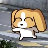 沈小阿欠儿头像