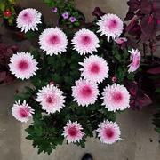 运友的个人资料头像