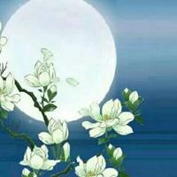小小白生头像