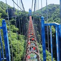 加哥缺台车头像