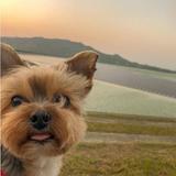 许奥22头像