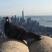 与梦同行的个人资料头像