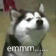 aicaibucai的个人资料头像