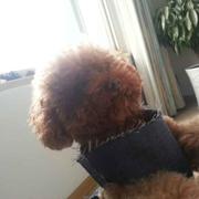 朱德沁的个人资料头像