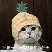 松软小面包的个人资料头像