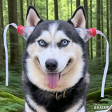 迎风尿尿唧唧冷头像