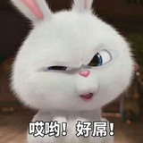 適個嫃莈洧哦头像