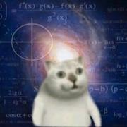 可可许的个人资料头像