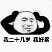 头号懒人的个人资料头像