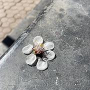 萨斯特的风的个人资料头像