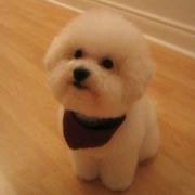 威dy549的个人资料头像