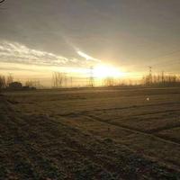 车子可以飞头像