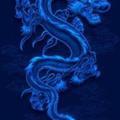 陈总天狼头像
