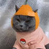 在上775头像