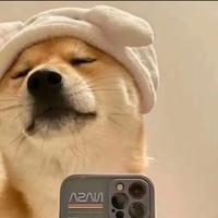 稗子酿的酒751头像