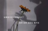 晚安63079头像