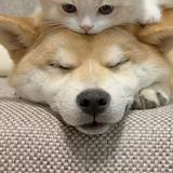 未来72723头像