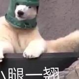 totoo酱头像