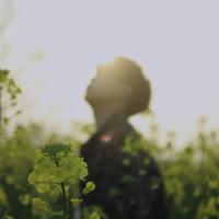 用户2037423360779头像