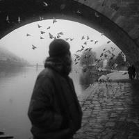 元气面条iw9头像