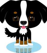 张工的个人资料头像