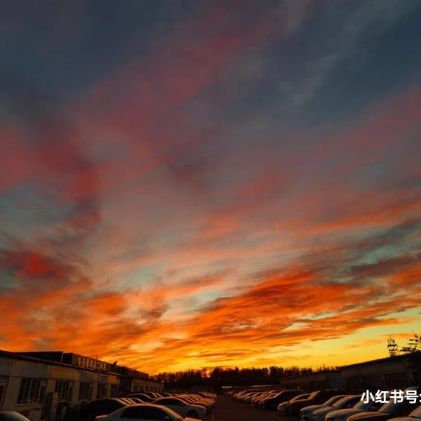 鸿麟头像