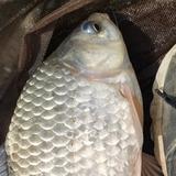 老姚n9ZW头像